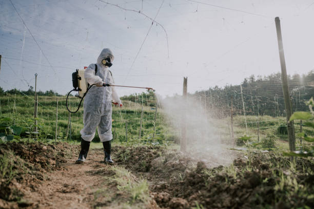 Pest Control Cost in Chama, NM