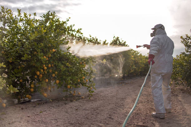 Best Emergency Pest Control  in Chama, NM