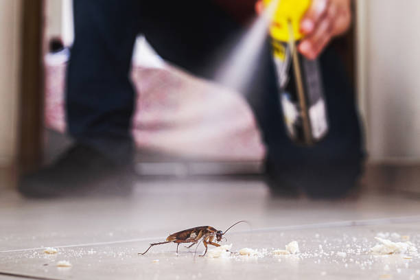 Trusted Chama, NM Pest Control Experts