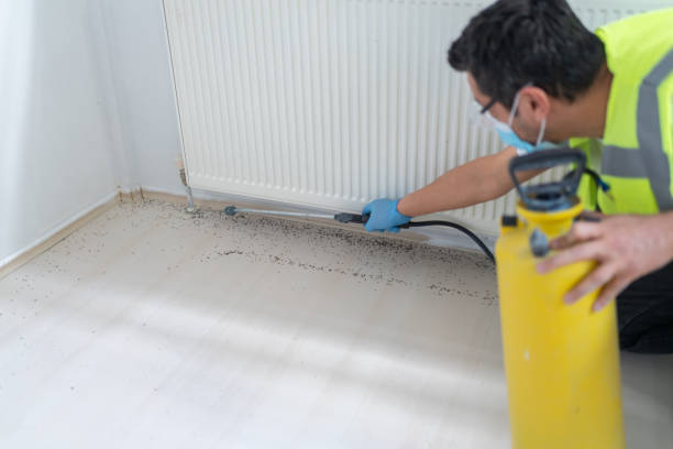 Professional Pest Control in Chama, NM